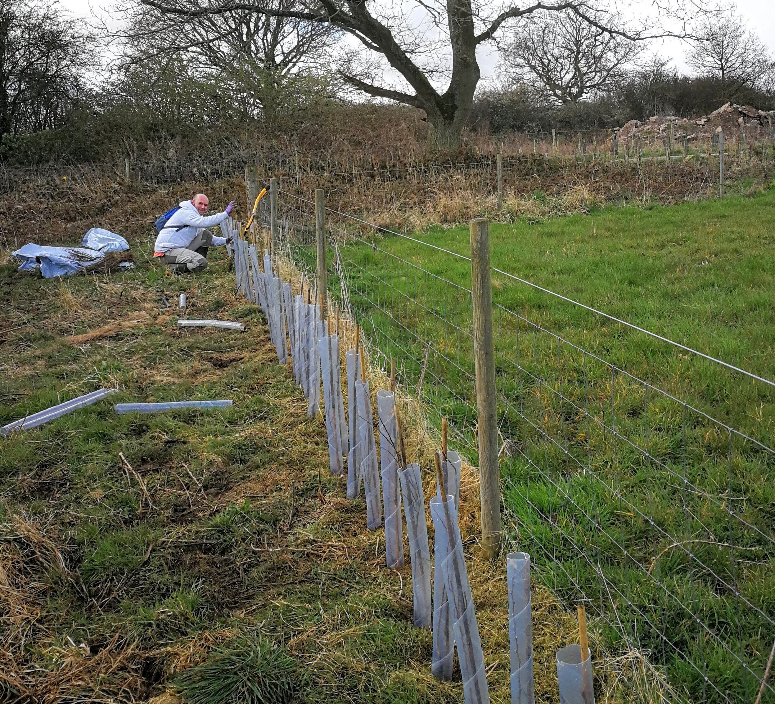 Tree planting at Barn Owl Wood 5.jpg