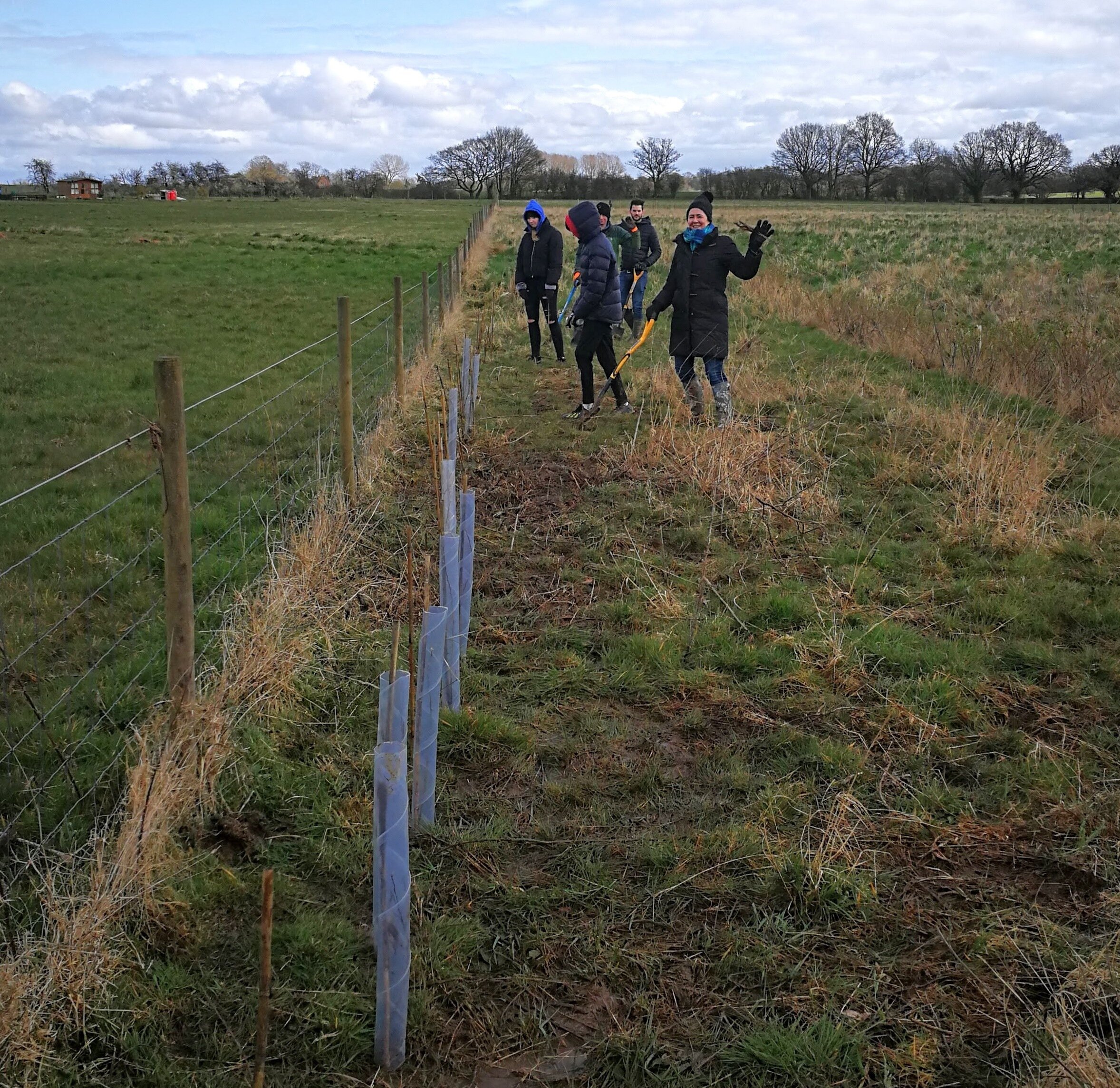 Tree planting at Barn Owl Wood 7.jpg