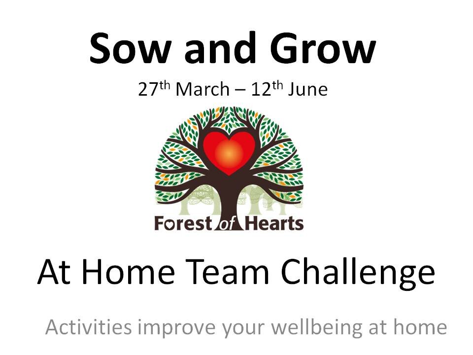 Sow and Grow - At Home Team Challenge Week 1