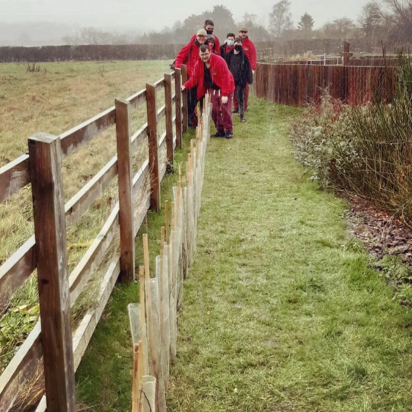 Barley Fields Tree Planting