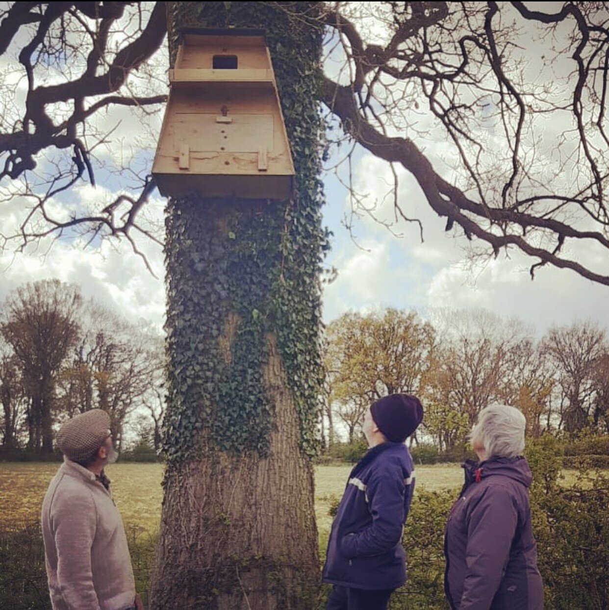 Barn owl box .jpg