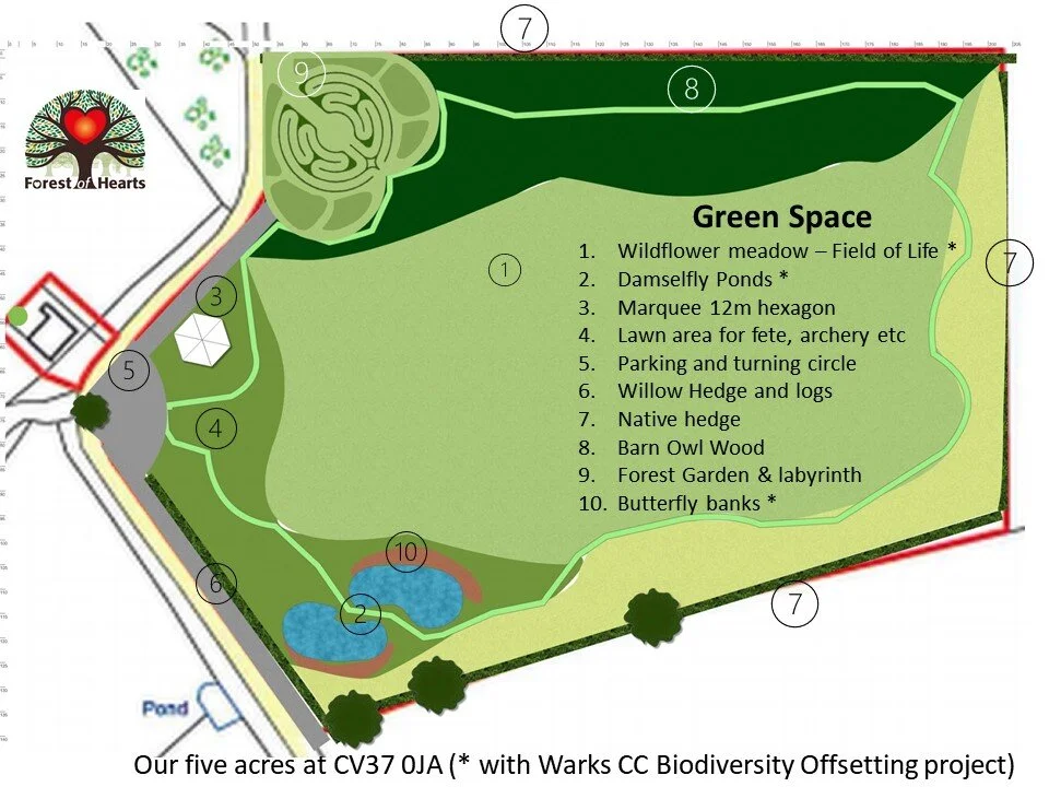 Boosting Mental Wellbeing in the Forest Garden