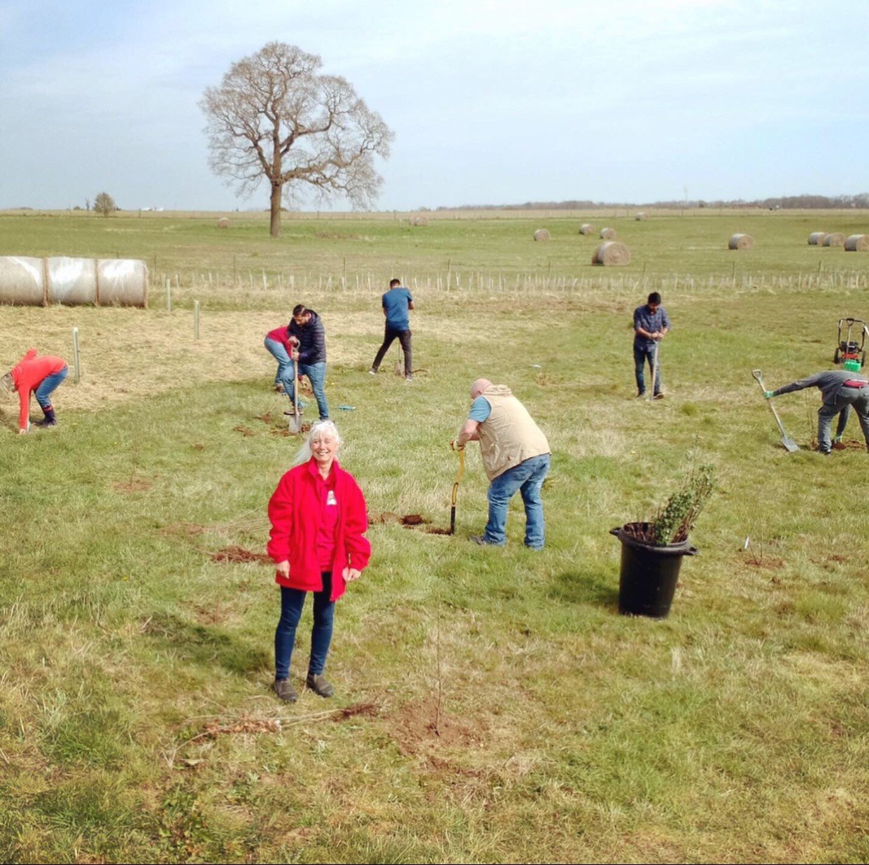 Barn Owl Wood Tree Planting Photo.jpg