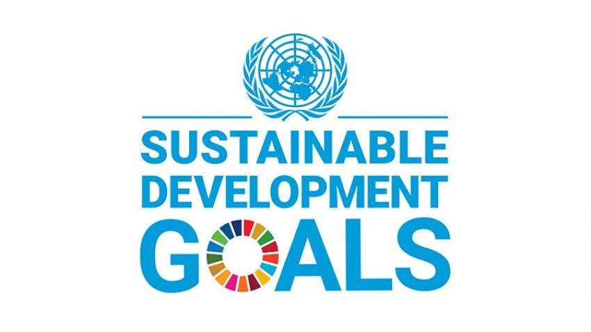 SDG logo 2.jpg