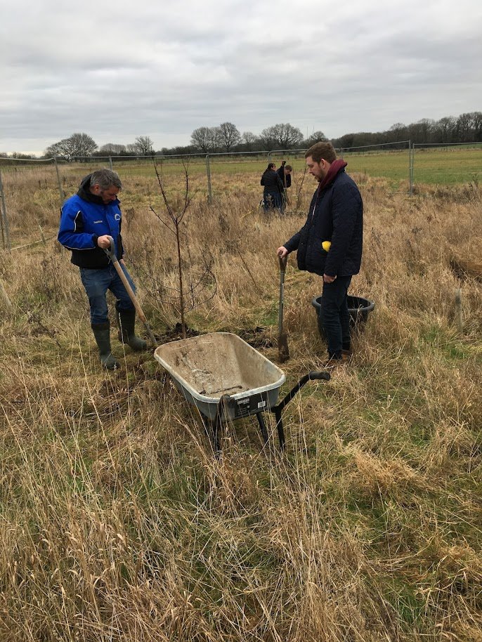 DHL tree planting 8.JPG