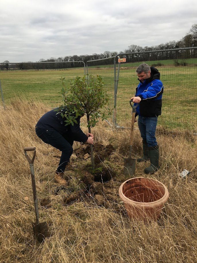 DHL tree planting 5.JPG