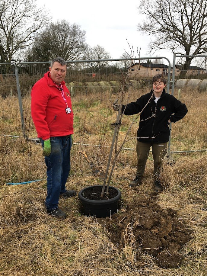 Forest of Hearts planting fruit trees.JPG