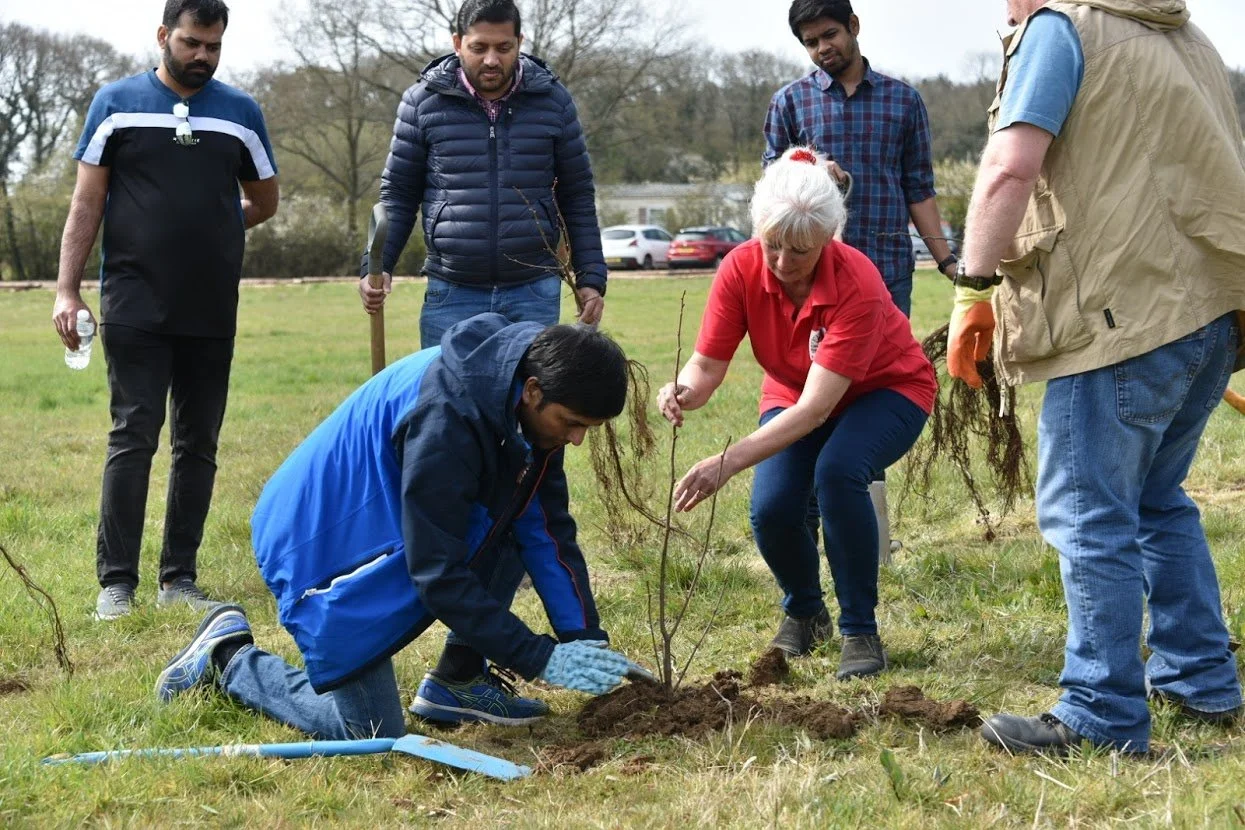 Tree planting in Stratford Upon Avon with Wipro 