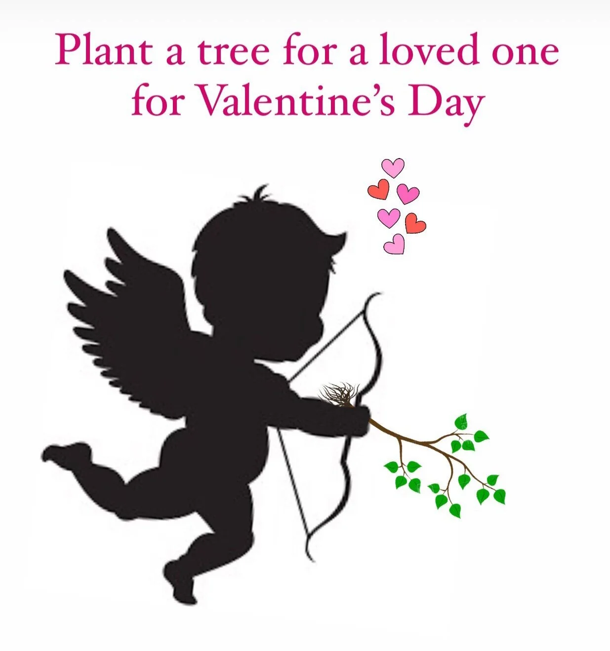 Plant a tree for a loved one this Valentine’s Day