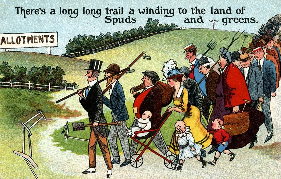 Postcards from your veg garden plot