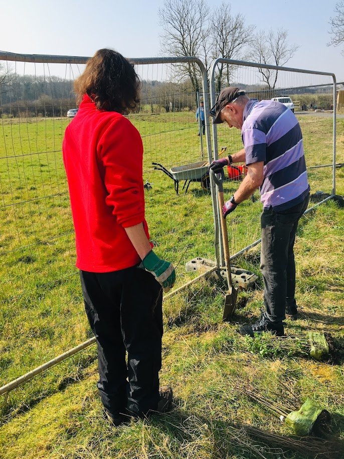 Volunteers planting trees.JPG