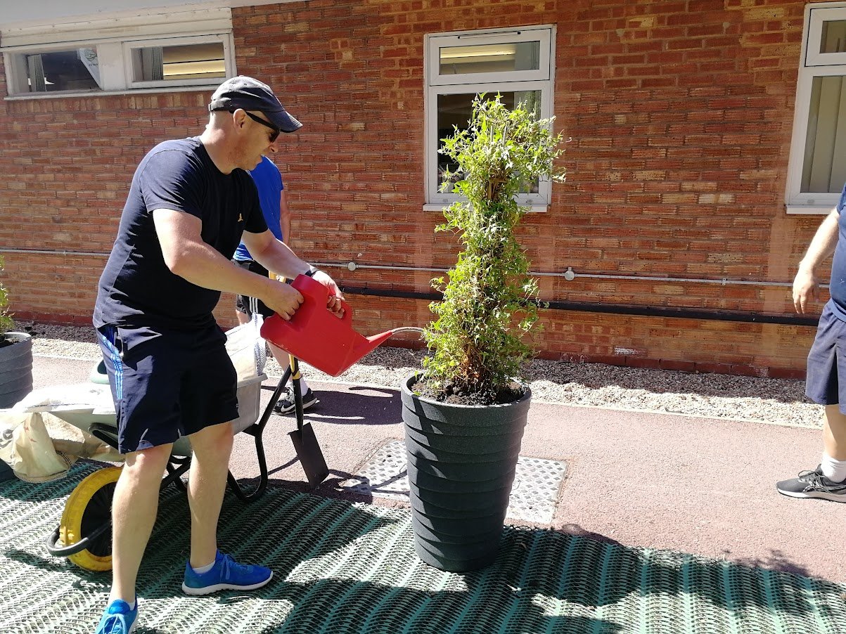 man watering ivy plant.jpg