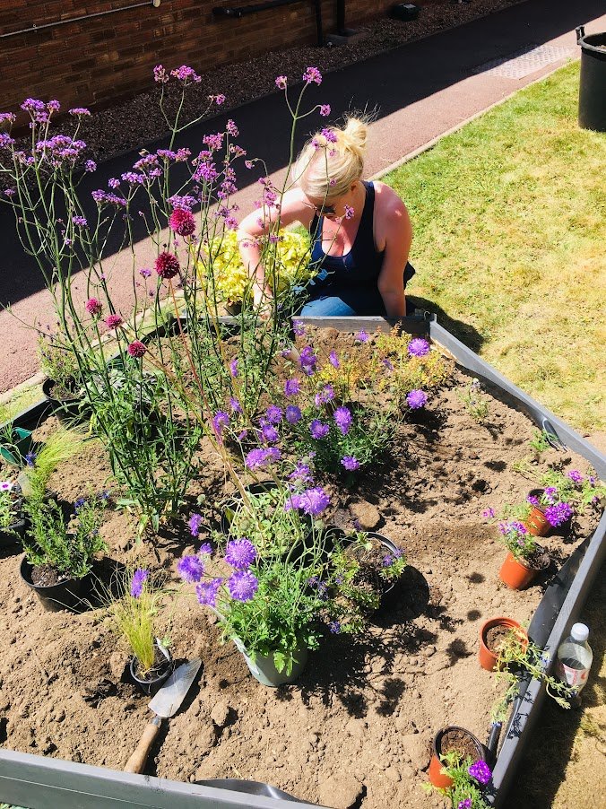 woman planting pollinator friendly plants.JPG