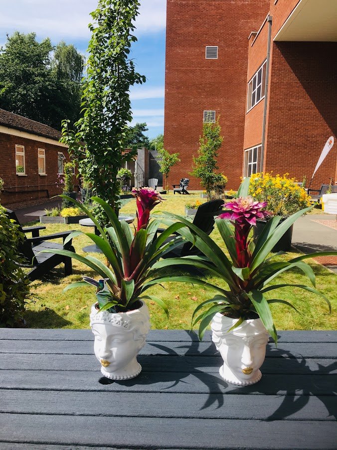 Warwick hospital staff wellbeing garden.JPG