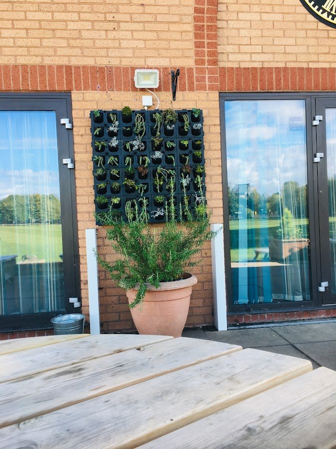 living wall planter at stratford sports club.JPG