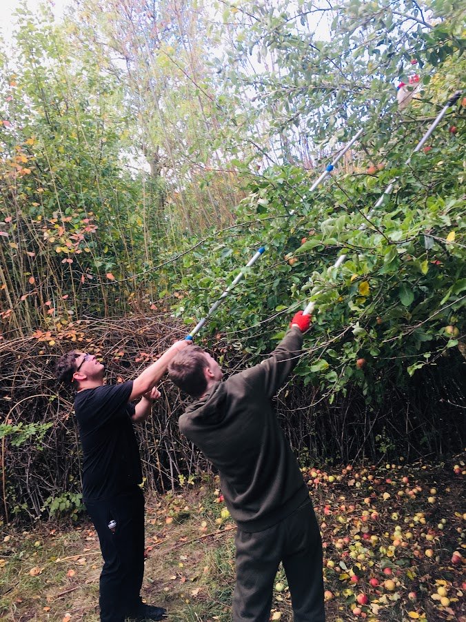 two men apple picking.JPG