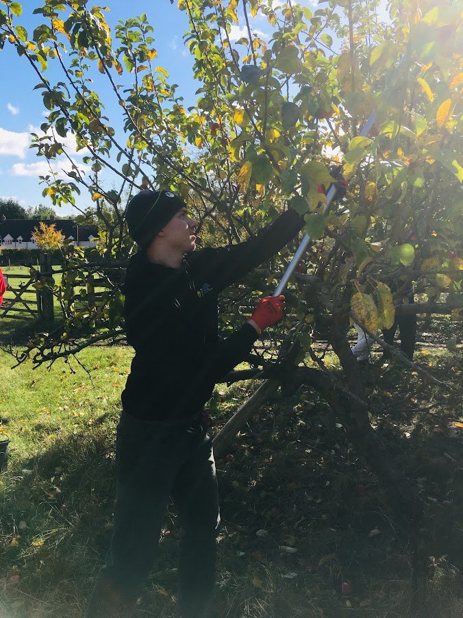 volunteer apple picking.JPG