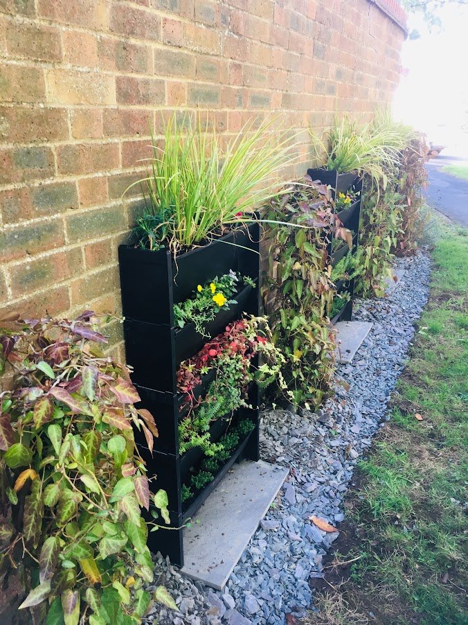 living walls in garden.JPG