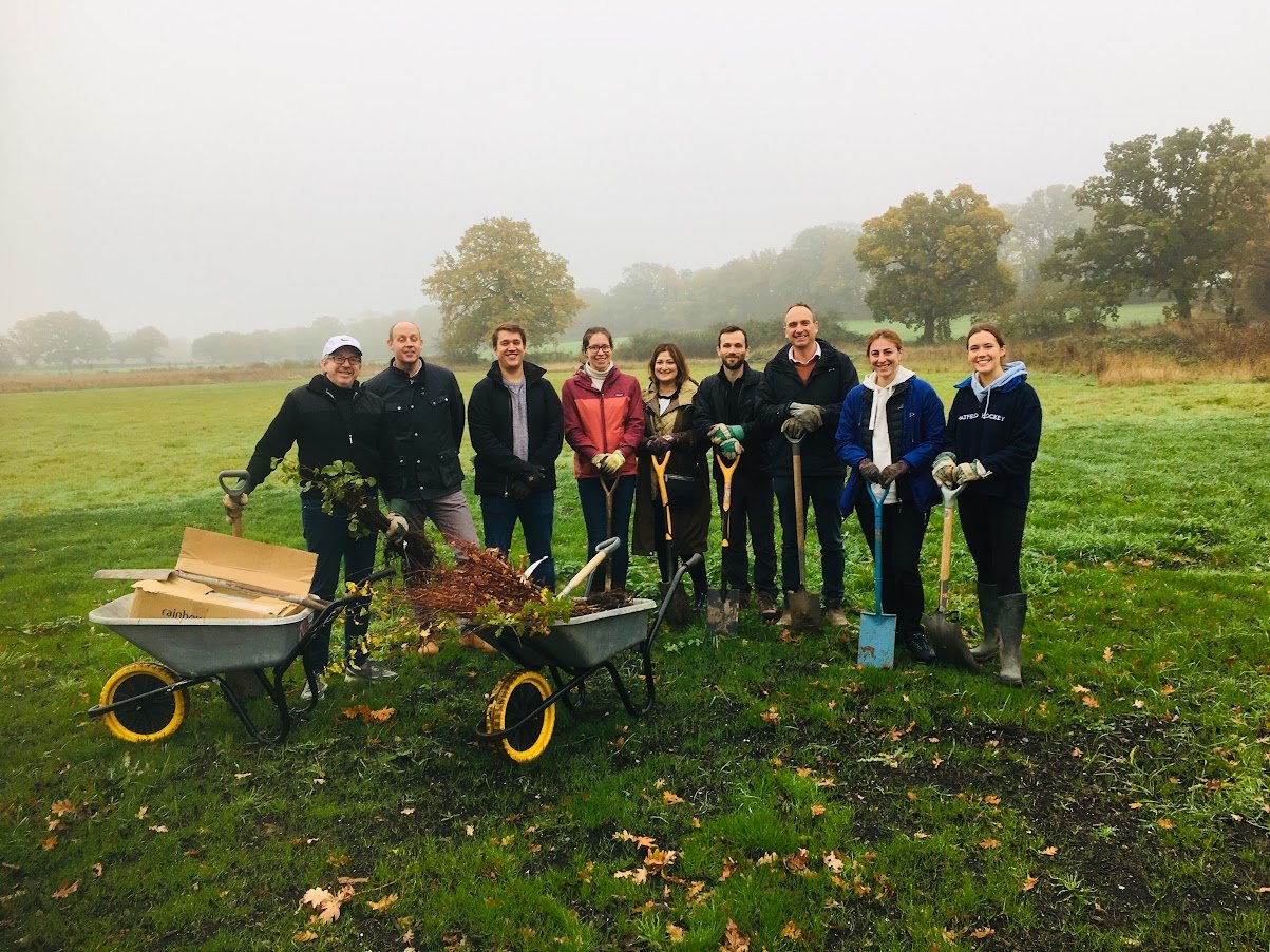 Low Carbon tree planting.JPG