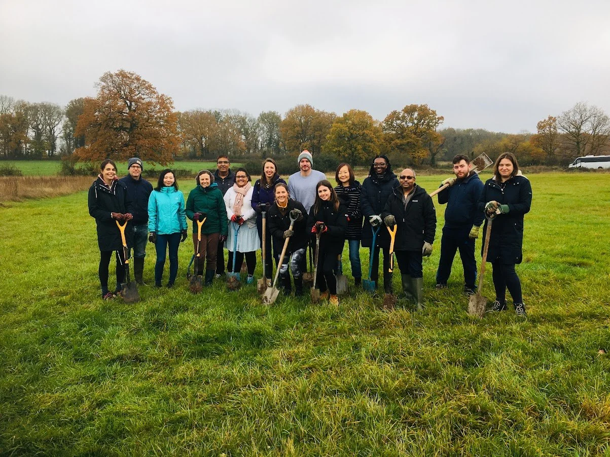 Tree Planting with Munich Re
