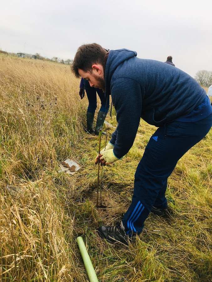 company from london tree planting.JPG