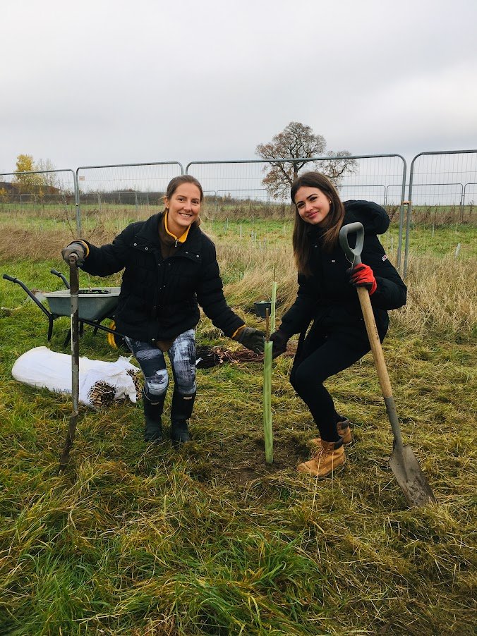 tree planting.JPG