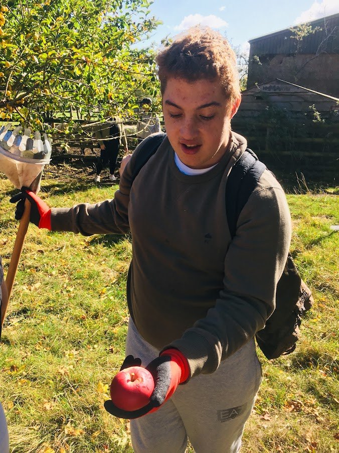 volunteers shows apple he has picked from the tree.JPG