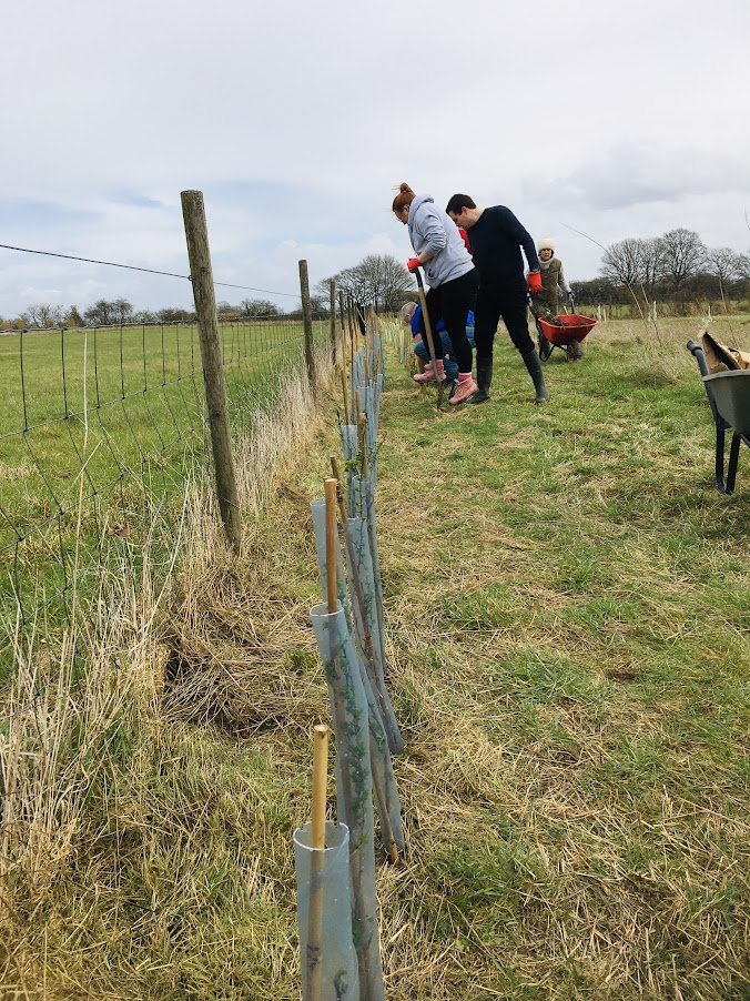 corporate tree planting with charity.JPG