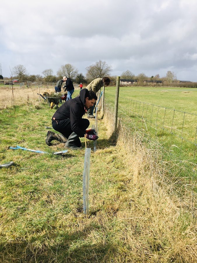 corporate tree planting.JPG