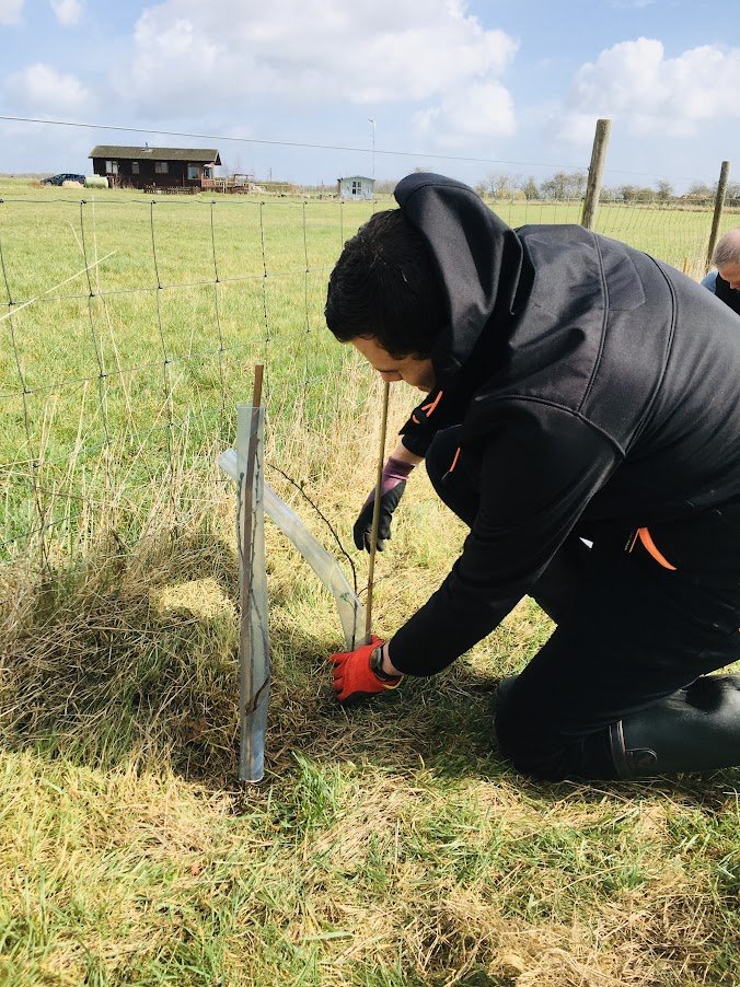 tree planting in the midlands.JPG