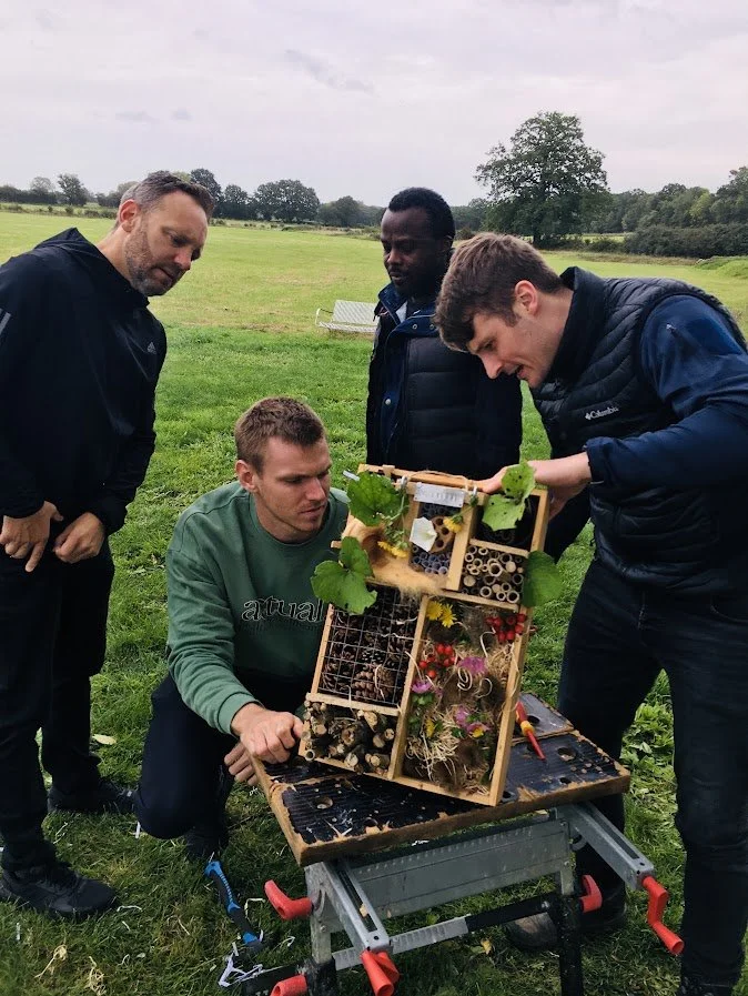 how to create a bug hotel.JPG