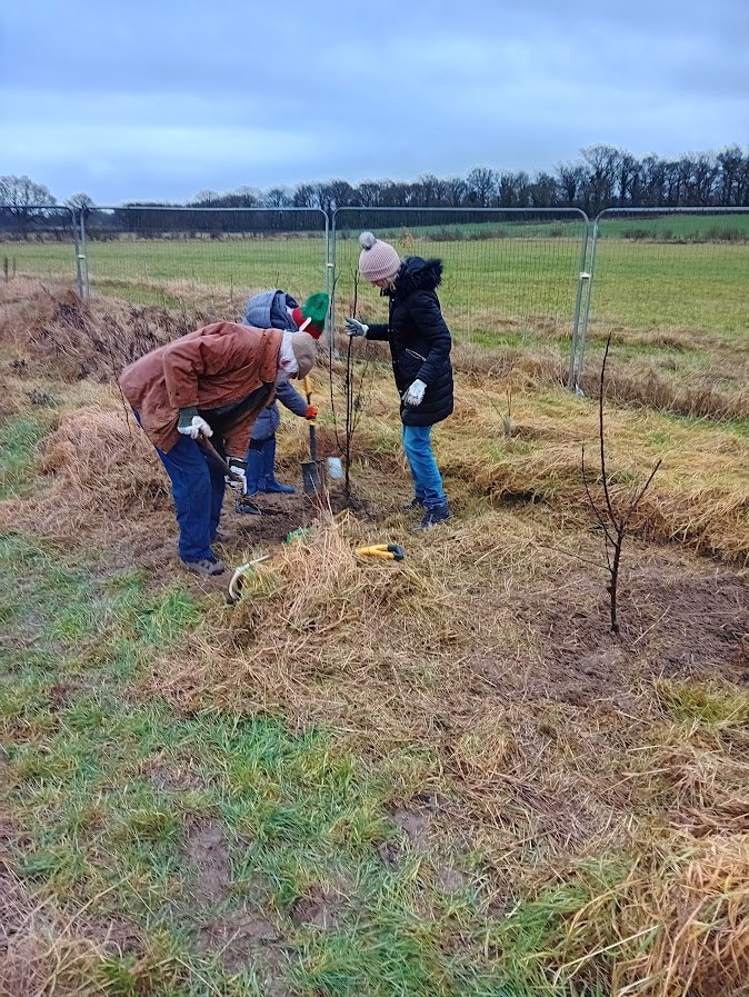 tree planting memorial trees.jpg