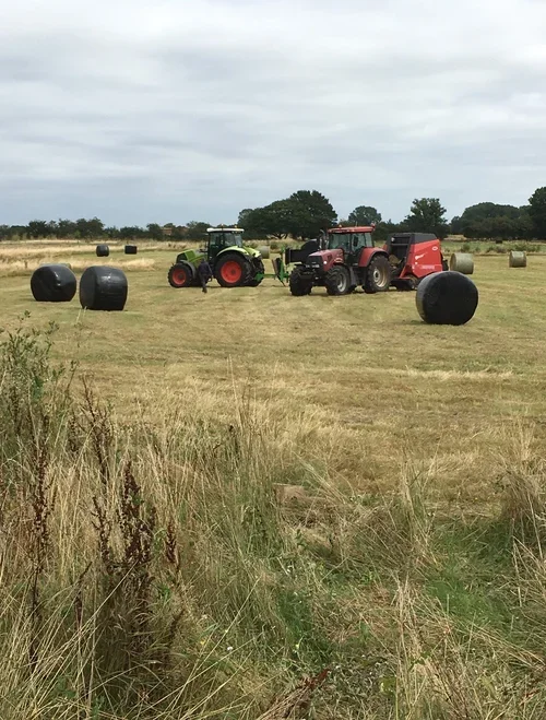 tracktors+on+wildflower+meadow.webp