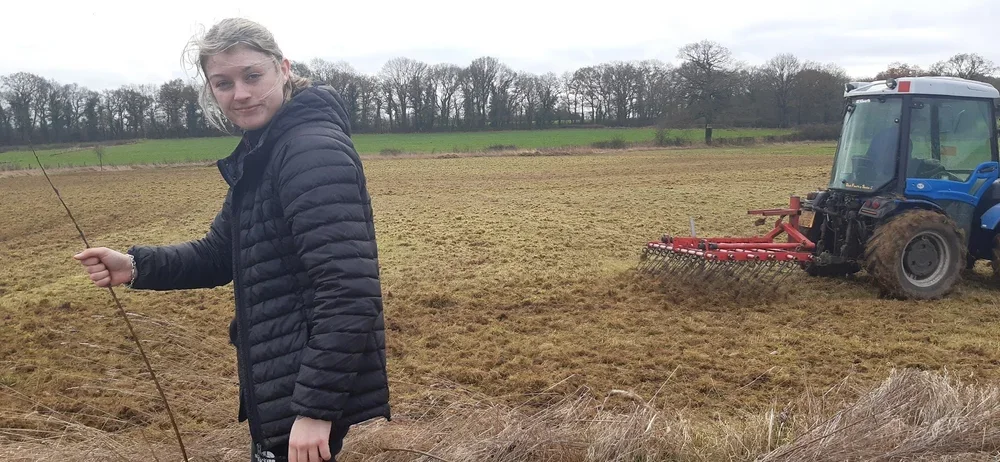tractor+scarifying+field (1).webp