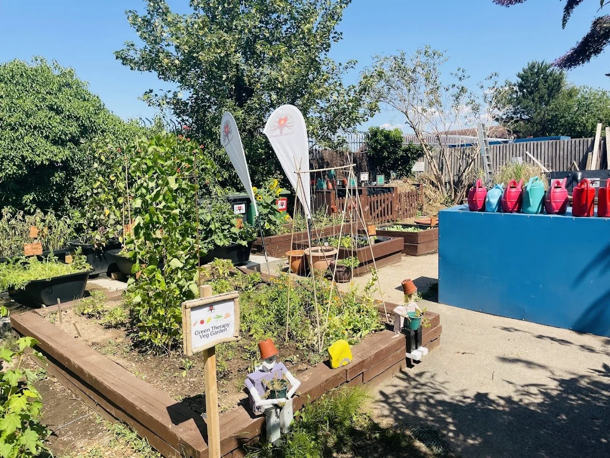 Green Therapy Veg Garden.jpg
