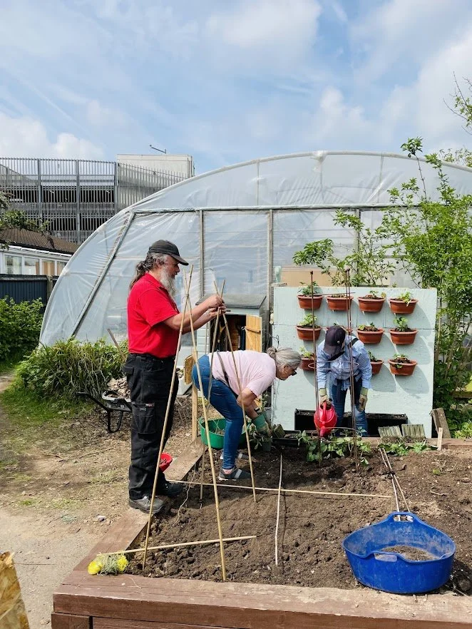 Creating a vegetable plot.jpg