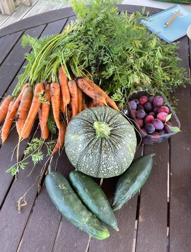 fruit and vegetable harvest.jpg