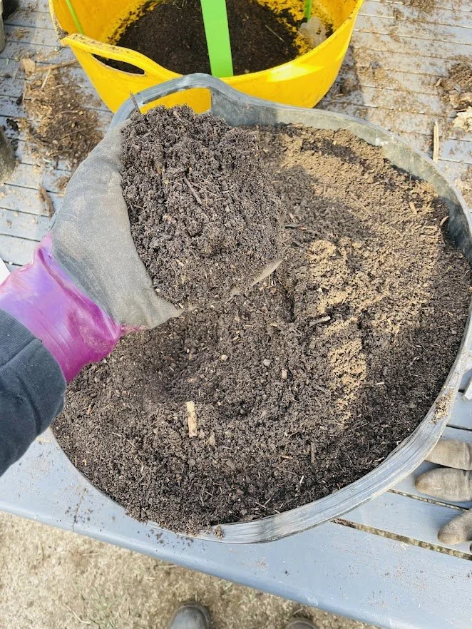 fresh compost decomposed from garden waste.jpg