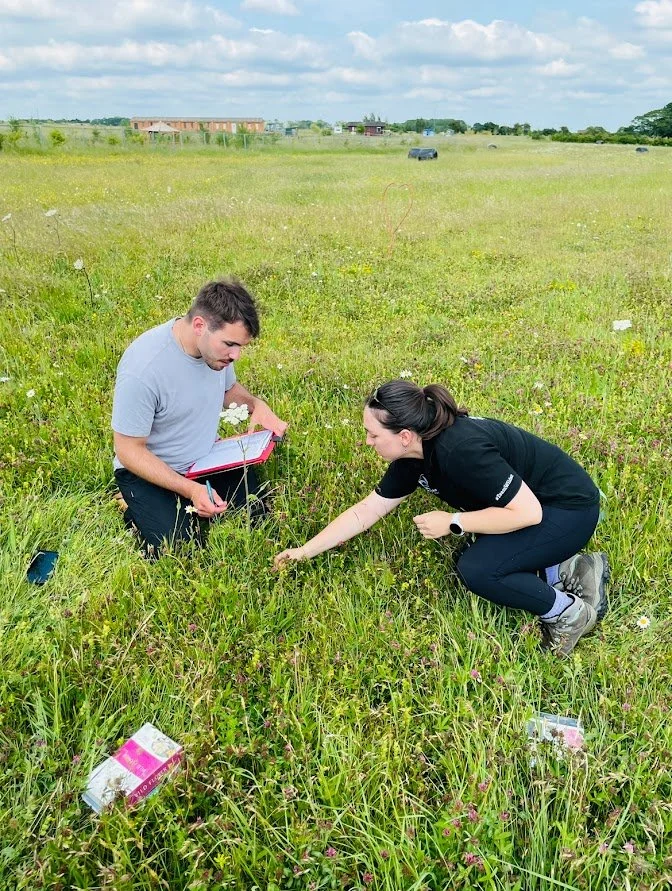 Wildflower meadow audit by Warwickshire Wildlife Trust.jpg