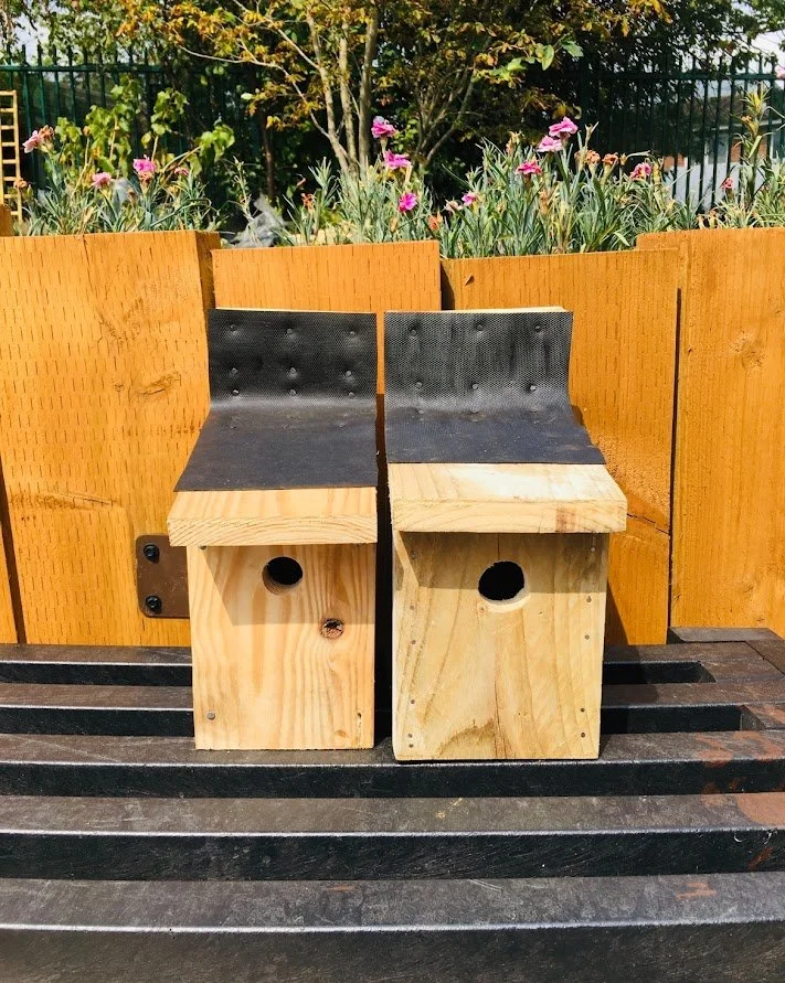 We create bird boxes.jpg