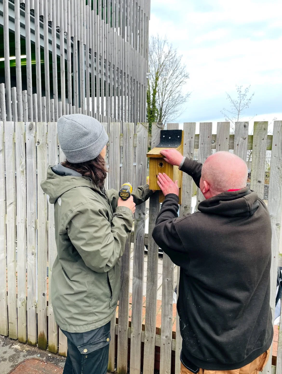 putting up a bird box.jpg