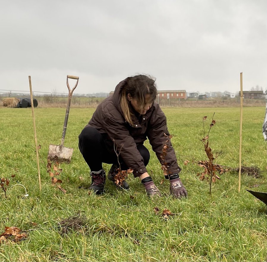 corporate volunteer planting tree sapling.jpg