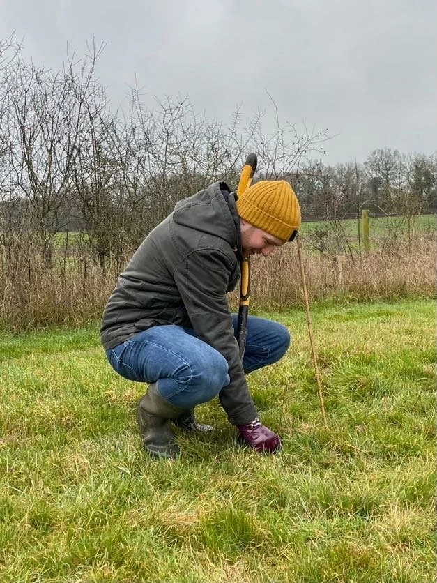 corporate volunteer planting a tree.jpg