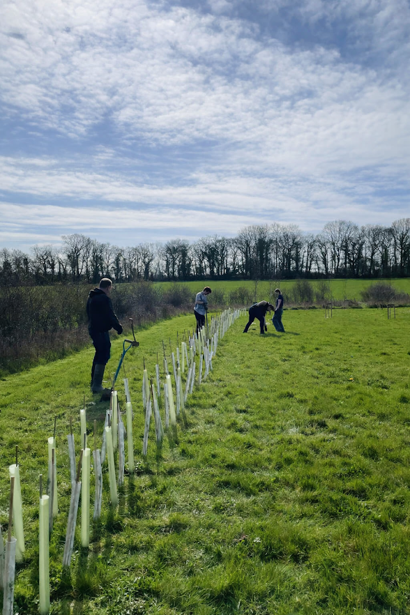 Corporate tree planting team building CSR volunteering day in Warwickshire.PNG