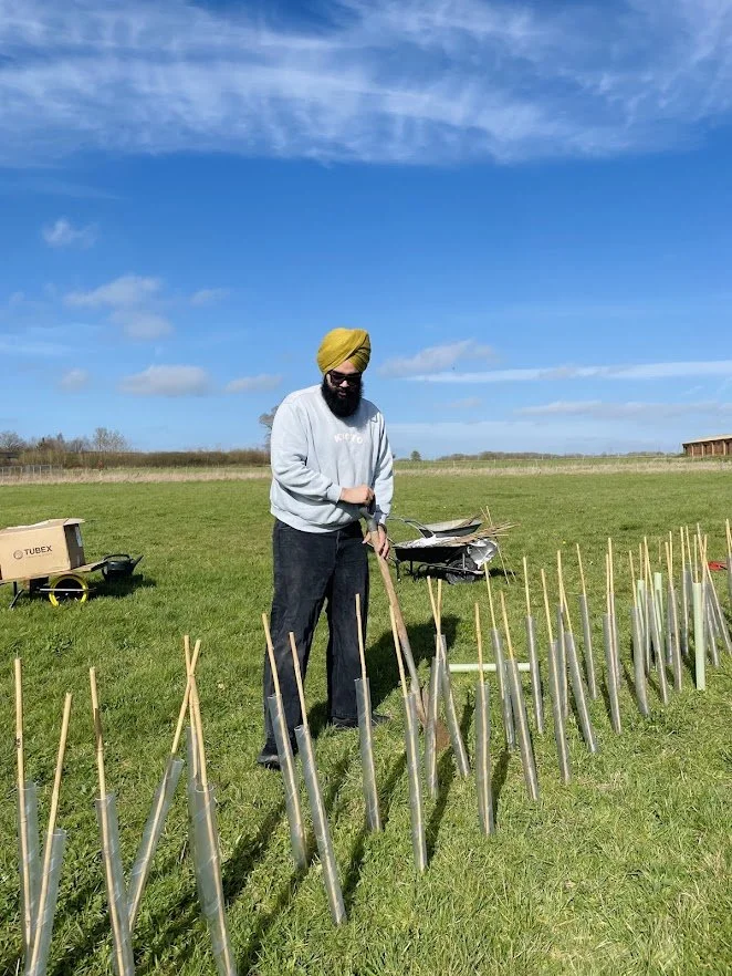 corporate tree planting volunteering.jpg