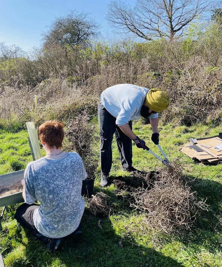 creating compost from garden waste.jpg