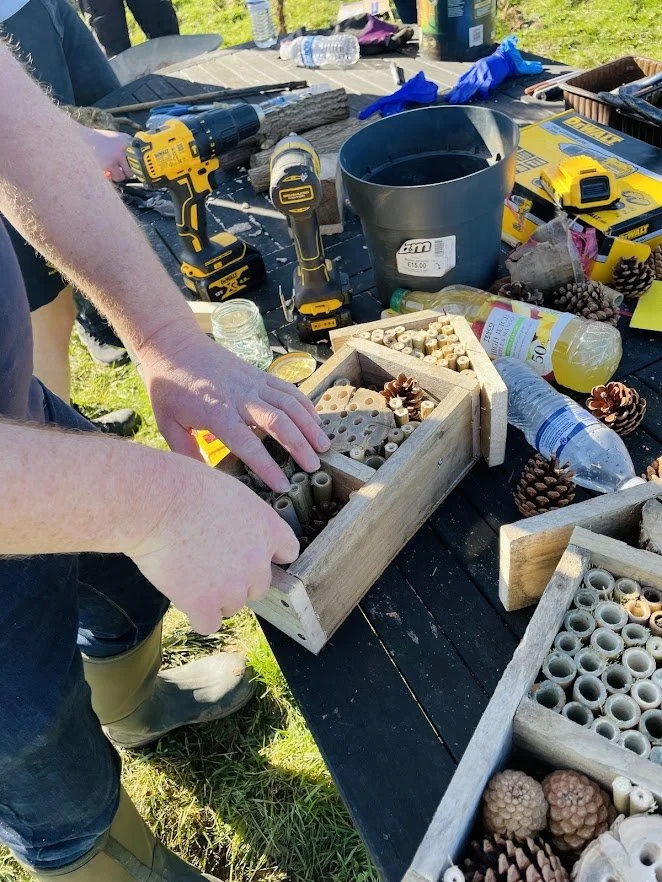 creating a bug hotel.jpg