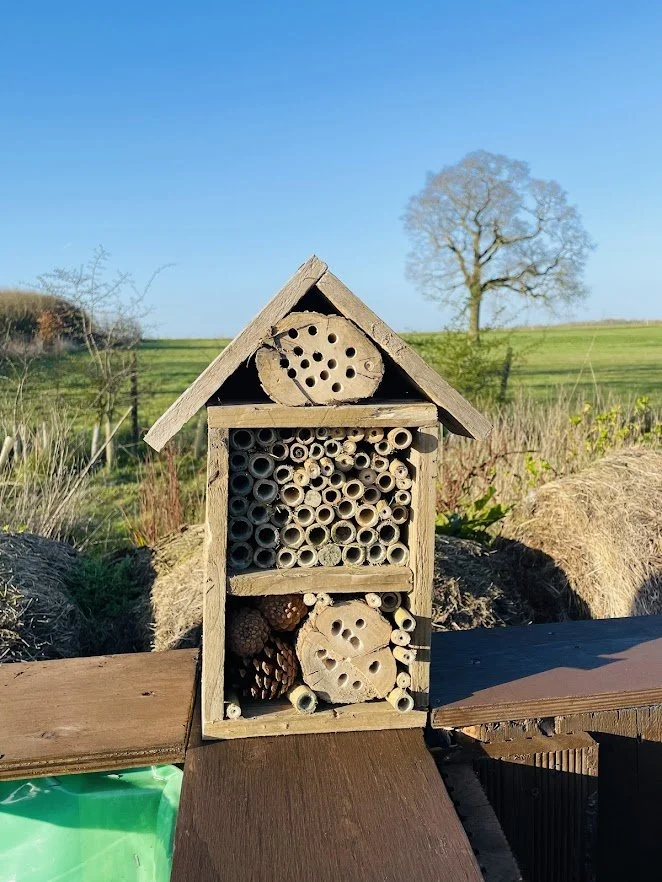 bug and bee hotel to attract insects to garden.jpg