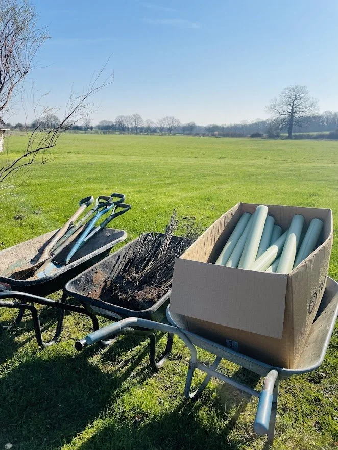 tree planting in Warwickshire.jpg