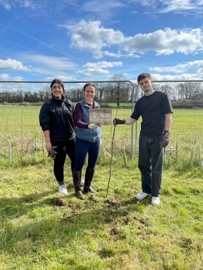 Thatchers community orchard project tree planting.jpg